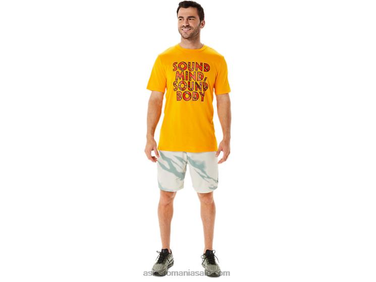 Asics gri fum/gri ardezie pantaloni scurți cu imprimeu de sezon pentru bărbați ZF464993