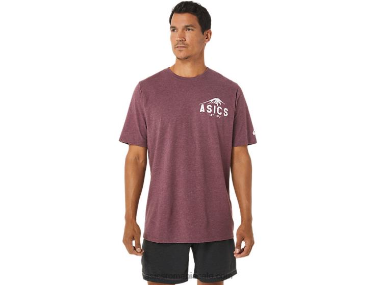 Asics deep mars heather tricou fuji 1977 ZF4641265