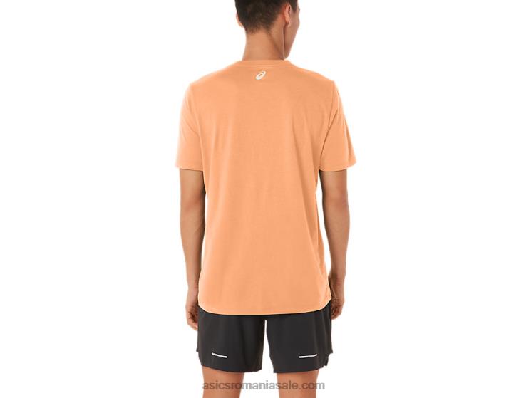 Asics dună de vară tricou cu mânecă scurtă în dungi ZF46470