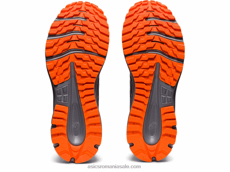 Asics ceață indigo/argint pur cercetător traseu 2 ZF4641589