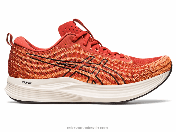 Asics condimente latte/negru evita viteza ZF464501