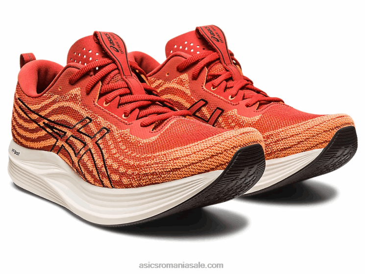 Asics condimente latte/negru evita viteza ZF464501