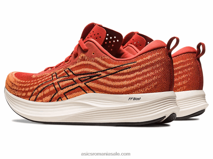 Asics condimente latte/negru evita viteza ZF464501
