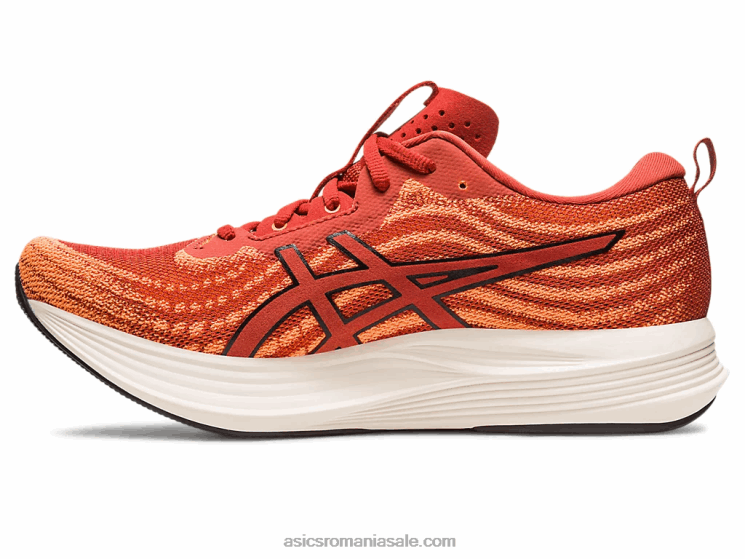 Asics condimente latte/negru evita viteza ZF464501