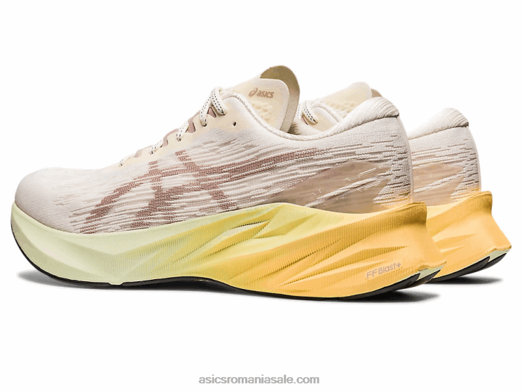 Asics crem/căprie novablast 3 ZF464376