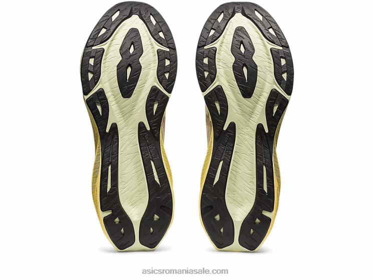 Asics crem/căprie novablast 3 ZF464376