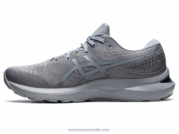 Asics foaie de piatră gel-cumulus 24 ZF464932