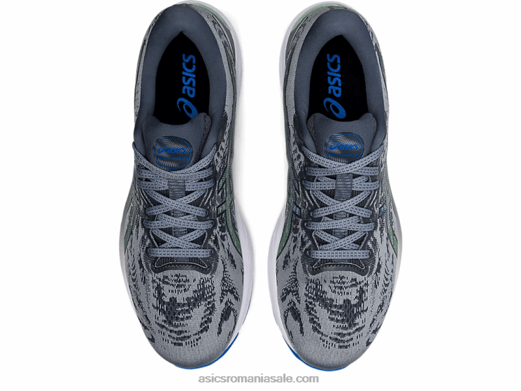 Asics foaie rock/carrier gri gel-cumulus 23 ZF4641597