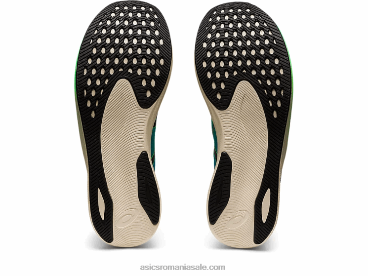 Asics frunză nouă/neagră Viteza magică 2 ekiden ZF464846