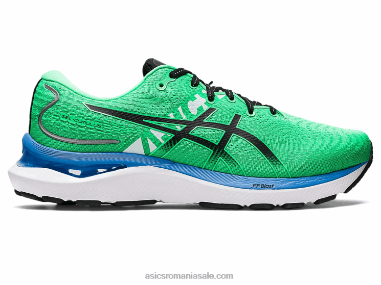 Asics frunză nouă/neagră gel-cumulus 24 ekiden ZF464811