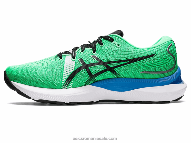 Asics frunză nouă/neagră gel-cumulus 24 ekiden ZF464811