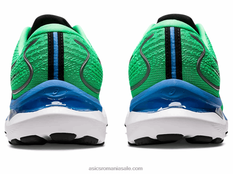 Asics frunză nouă/neagră gel-cumulus 24 ekiden ZF464811