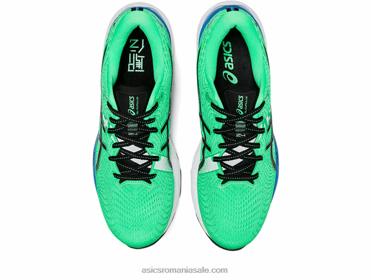 Asics frunză nouă/neagră gel-cumulus 24 ekiden ZF464811