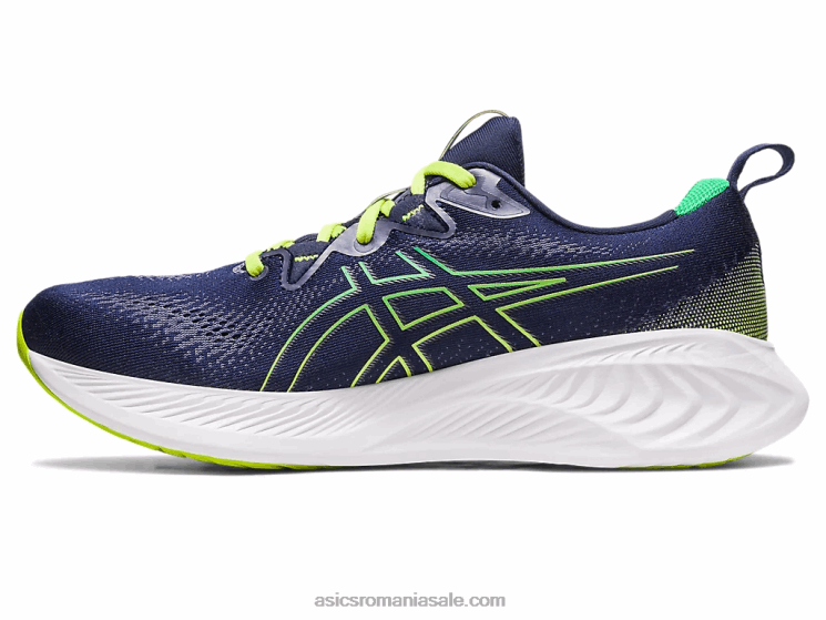 Asics miezul nopții/coriandru gel-cumulus 25 ZF4641