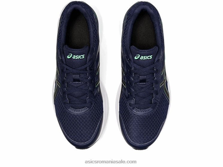 Asics miezul nopții/frunză nouă zguduire 3 ZF464946