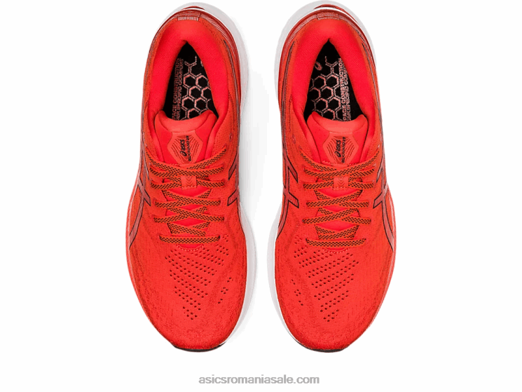 Asics roșie cherry/neagră gel-kayano 29 ZF4641183
