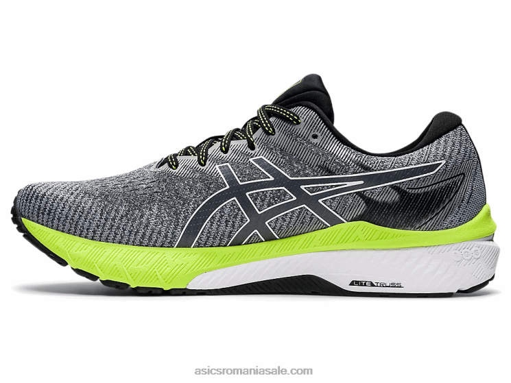 Asics suport gri/alb gt-2000 10 ZF4641475