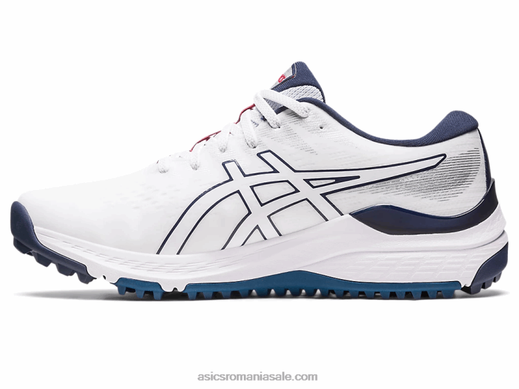 Asics alb gel-kayano as wide ZF46465