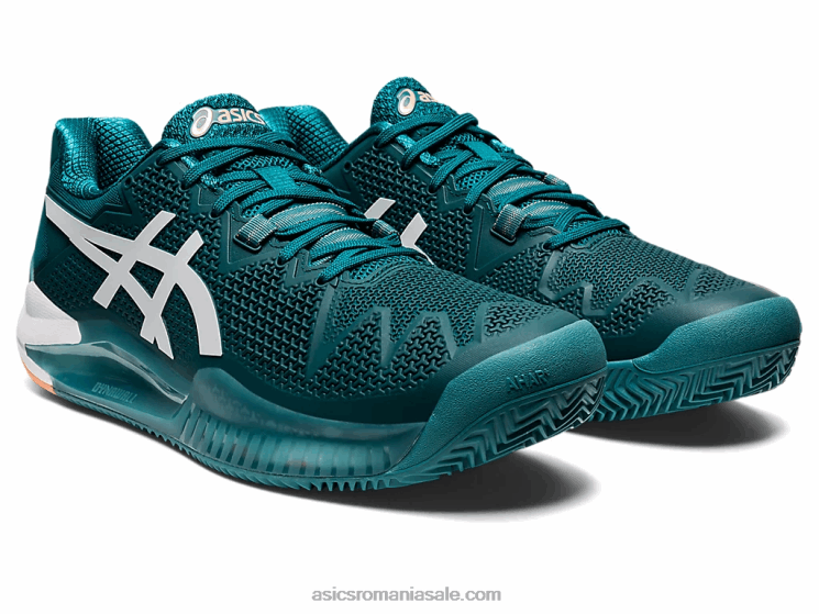 Asics catifea pin/alb gel-rezoluție 8 argilă ZF4641224