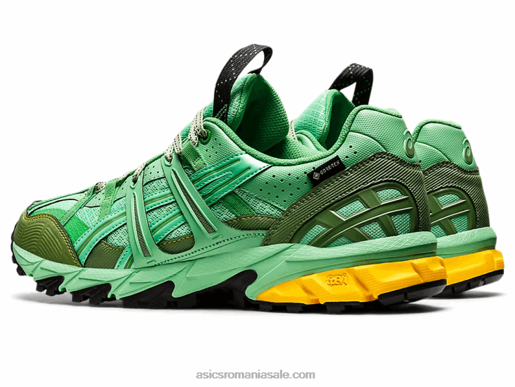 Asics buchet de primavara/grafit albastru hs4-s gel-sonoma 15-50 gtx ZF4641248