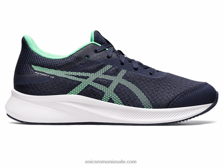 Asics miezul nopții/frunză nouă Patriot școala a 13-a ZF4644439