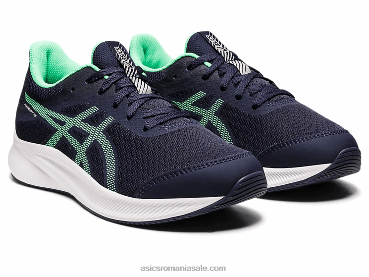 Asics miezul nopții/frunză nouă Patriot școala a 13-a ZF4644439