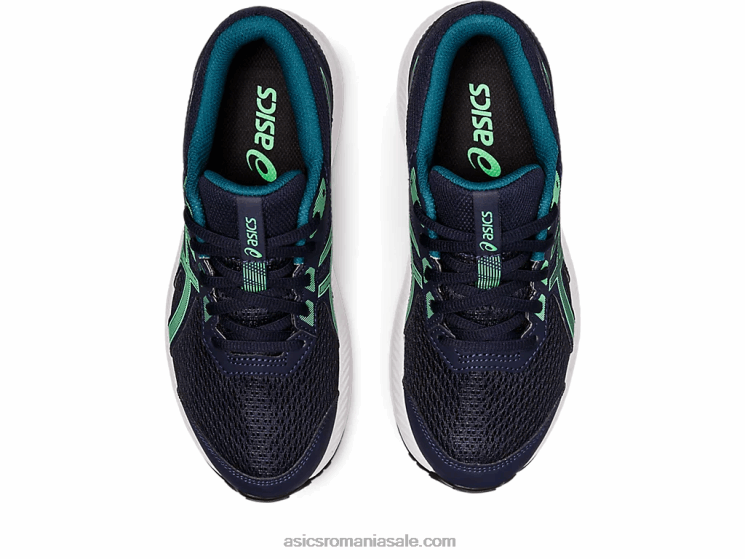 Asics miezul nopții/frunză nouă susțin școala clasa a 8-a ZF4644397