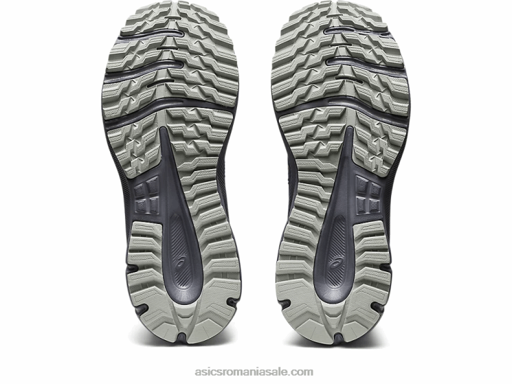 Asics albastru indigo/salvie deschisă cercetător traseu 2 ZF4642453