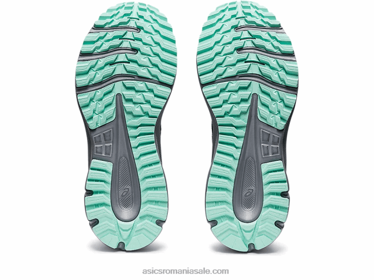Asics negru/mesteacăn cercetător traseu 2 ZF4643730
