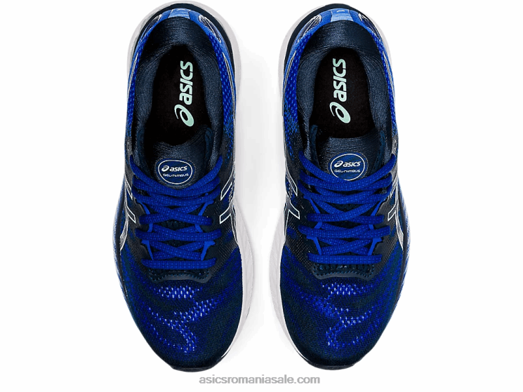 Asics albastru francez/gheață proaspătă gel-nimbus 23 ZF4643899
