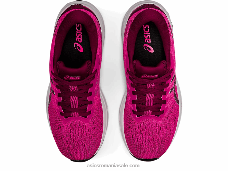 Asics boabe uscate/roz glo gt-1000 11 ZF4643211