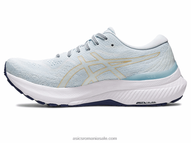 Asics cer/șampanie gel-kayano 29 lățime ZF4642407
