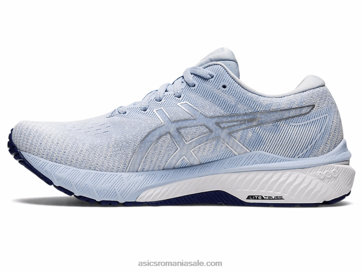 Asics cer moale/argint pur gt-2000 10 ZF4642853