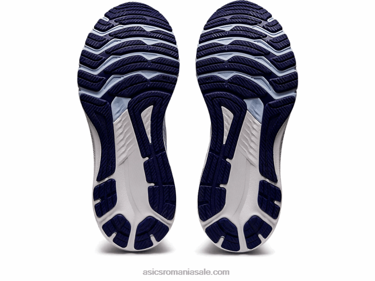 Asics cer moale/argint pur gt-2000 10 ZF4642853