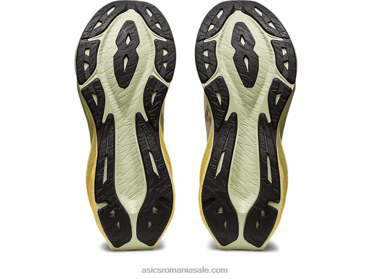 Asics crem/căprie novablast 3 ZF4642870