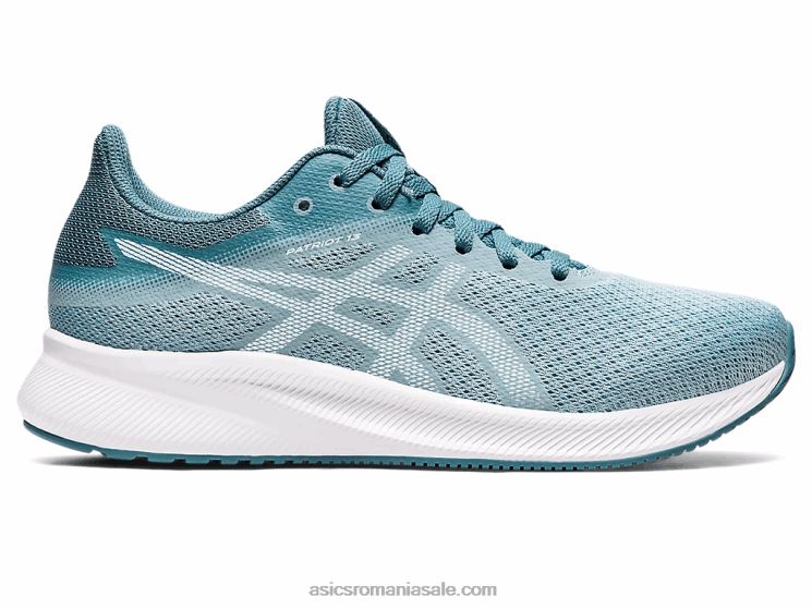 Asics fum albastru/mare liniştitoare patriot 13 ZF4643161
