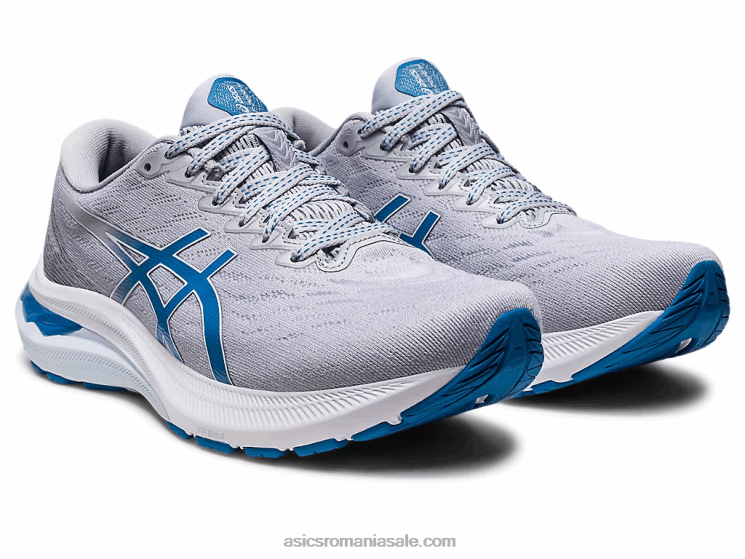 Asics gri piemont/albastru reborn gt-2000 11 ZF4642647
