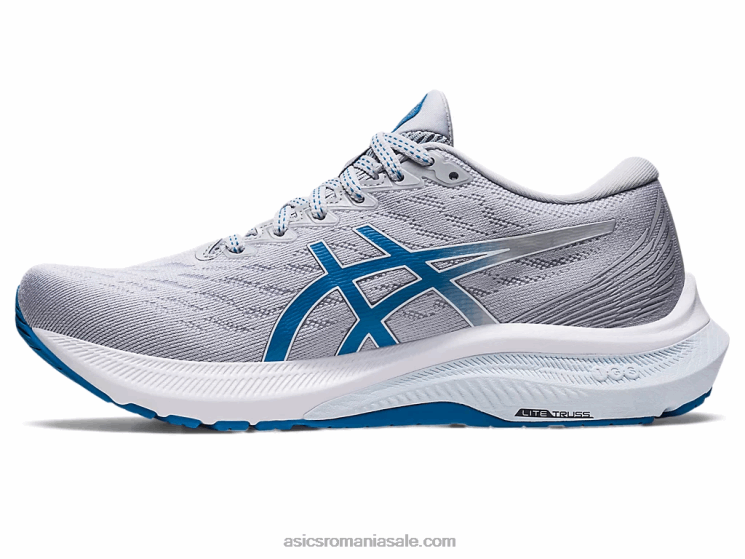 Asics gri piemont/albastru reborn gt-2000 11 ZF4642647