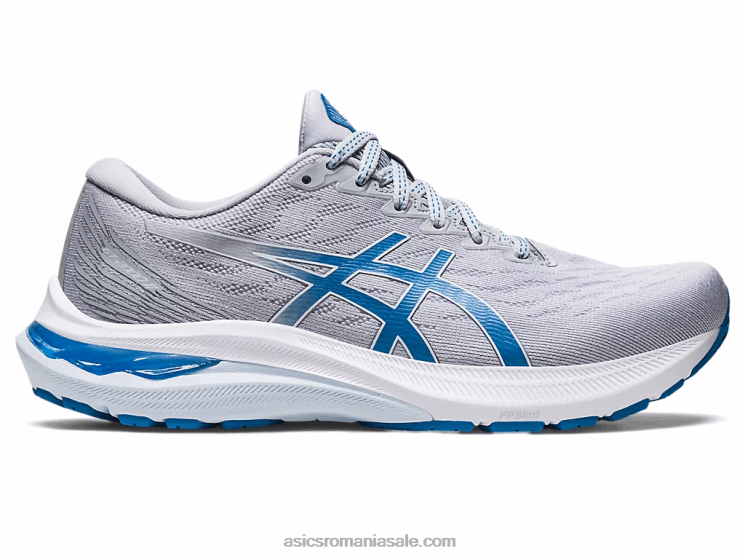Asics gri piemont/albastru reborn gt-2000 11 lățime ZF4642654