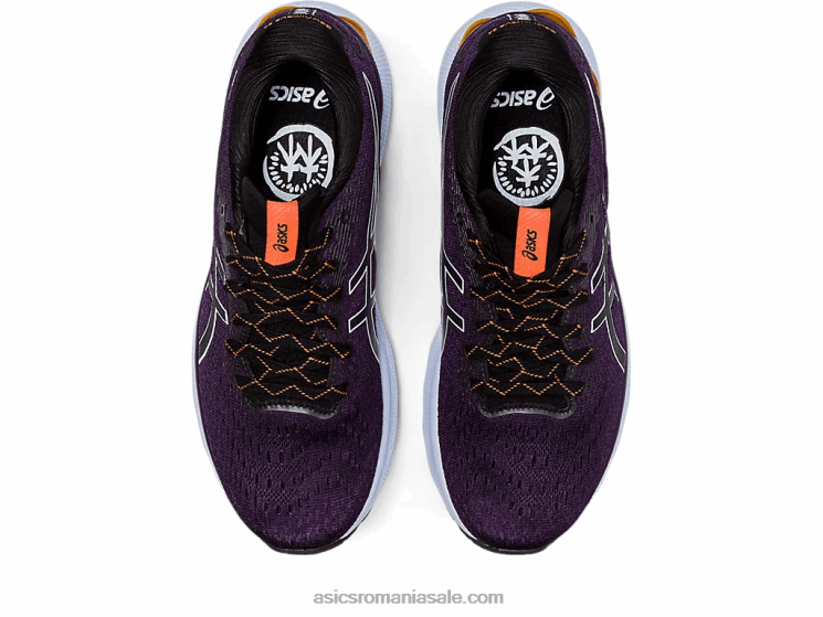 Asics natură scăldat/umbra de noapte gel-nimbus 24 tr ZF4642728