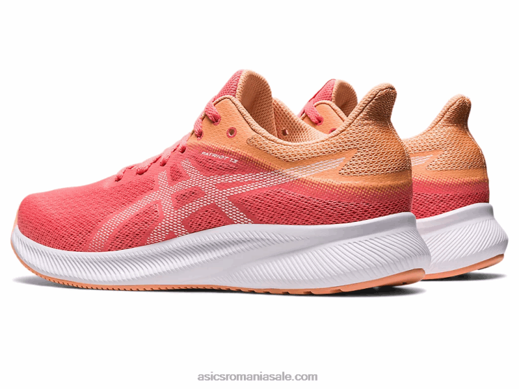 Asics papaya/alb patriot 13 ZF4642583