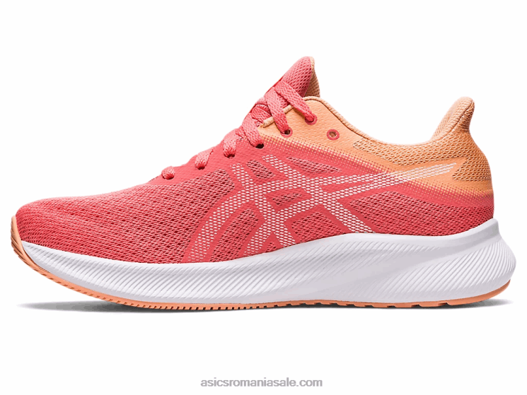 Asics papaya/alb patriot 13 ZF4642583