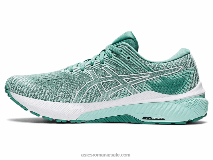 Asics salvie/alb gt-2000 10 ZF4643427