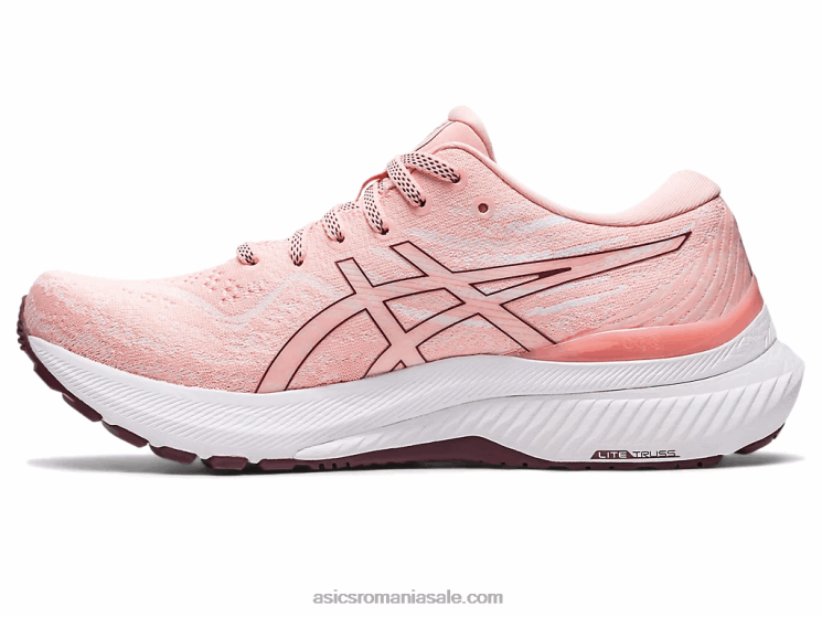 Asics trandafir înghețat/marte adâncă gel-kayano 29 ZF4643130